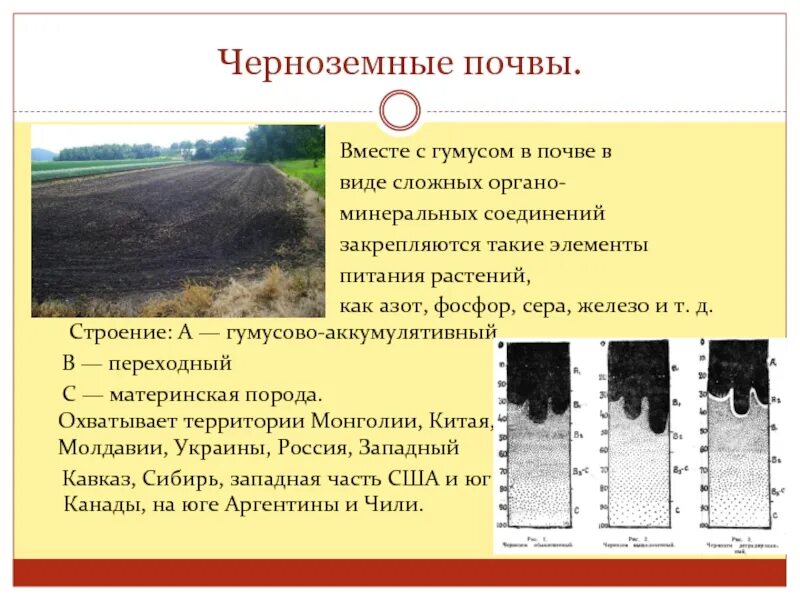 Для какой природной зоны характерны черноземы почвы. Чернозём почва характеристика 4. Характеристики почв чернозем почва. Почвенный профиль чернозема России. Черноземы почвы содержание гумуса.