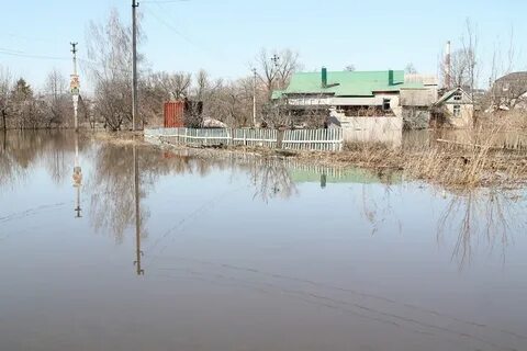 Погода в стрелецком