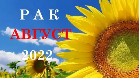 Каким будет августа 2022