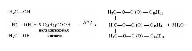 С17н33соон. Синтез жира из пальмитиновой кислоты и глицерина. Триглицерид пальмитиновой кислоты получение. Синтез жира на основе стеариновой кислоты реакция. Пальмитиновая кислота гидролиз жиров.