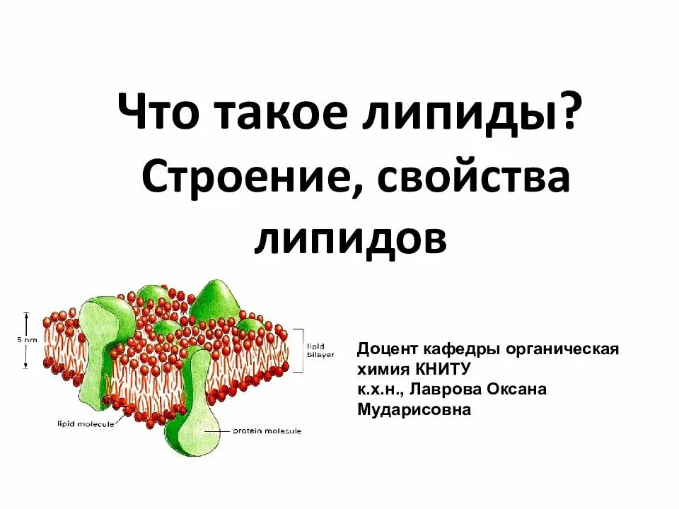 Строения липидов человека. Строение липидов. Структура липидов. Свойства липидов. Строение и свойства липидов.