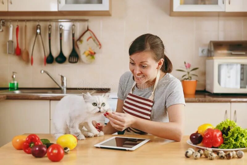 Cooking cat. Кот на кухне готовит. Женщина кошка готовит еду. Девочка кормит кошку на кухне. Жена готовит с кошкойор.