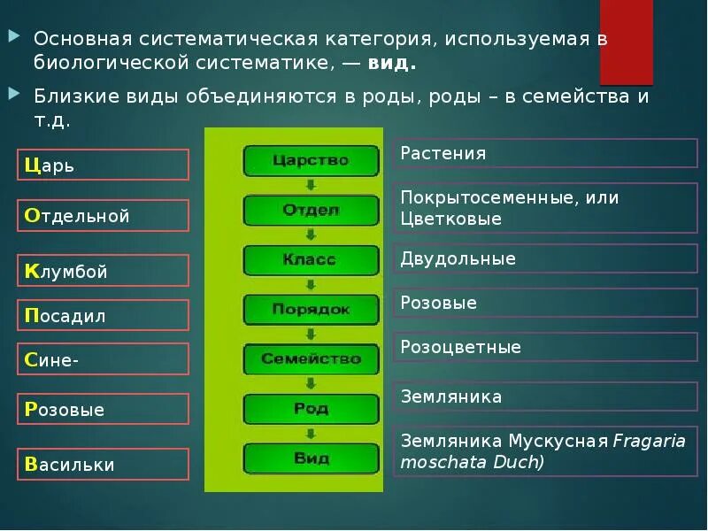 Основные систематические категории. Близкие семейства растений объединяются в роды. Систематика основные систематические категории. Основная систематическая категория в биологии. Понятия систематика