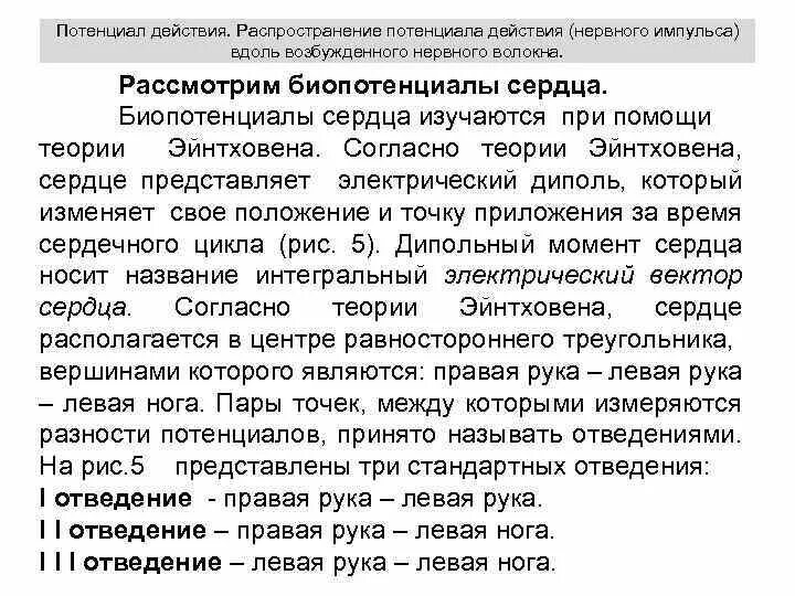 Биоэлектрические потенциалы. Происхождение биопотенциалов. Биопотенциал клетки. Причины возникновения биопотенциалов. Биопотенциал покоя.
