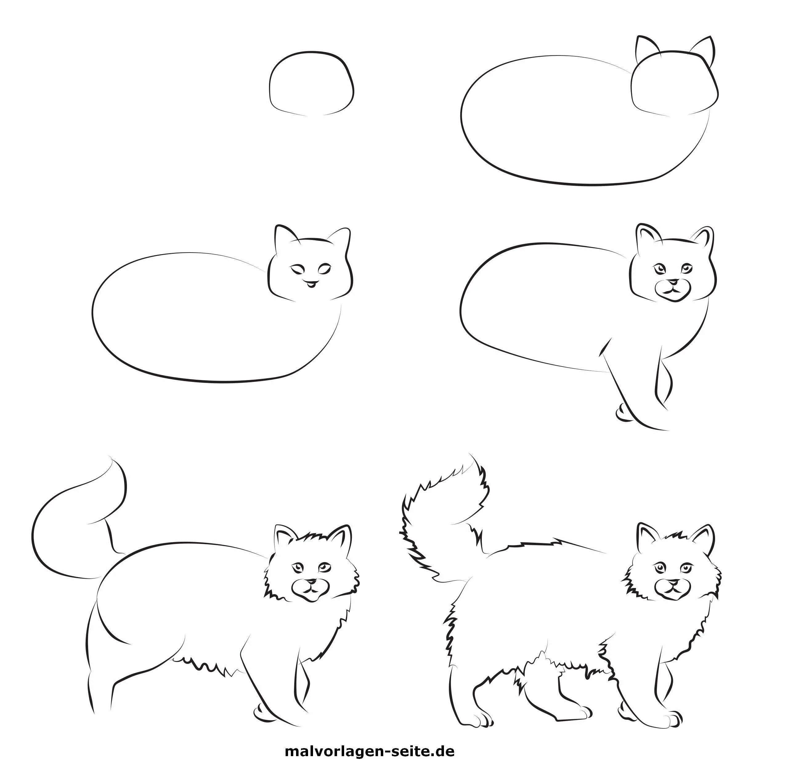 Рисовать поэтапно котиков. Этапы рисования кошки. Как нарисовать кота поэтапно. Поэтапное рисование котика для детей. Рисунок кота легкий.
