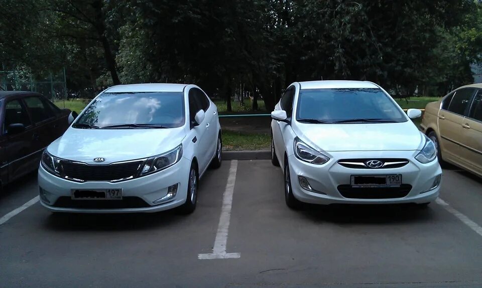 Киа рио или хендай солярис. Kia Rio Hyundai Solaris. Hyundai Solaris или Kia Rio 2021. Киа Рио 2014 Солярис. Kia Rio 2020 vs Hyundai Solaris 2020.