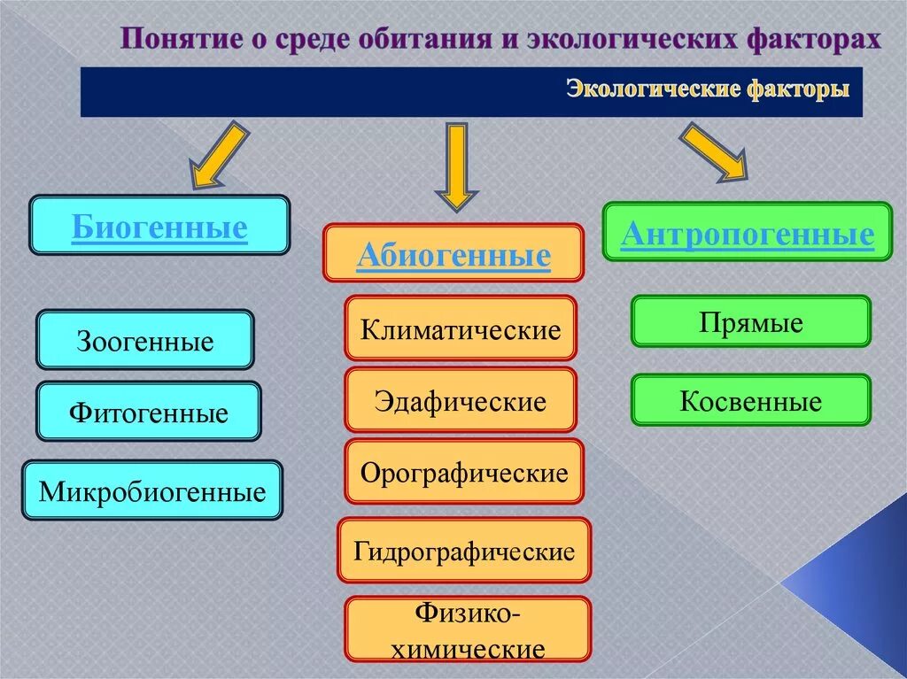 Факторы среды биология 11 класс. Экологические факторы среды обитания. Среда обитания и факторы среды. Понятие о среде обитания. Факторы среды обитания организмов.