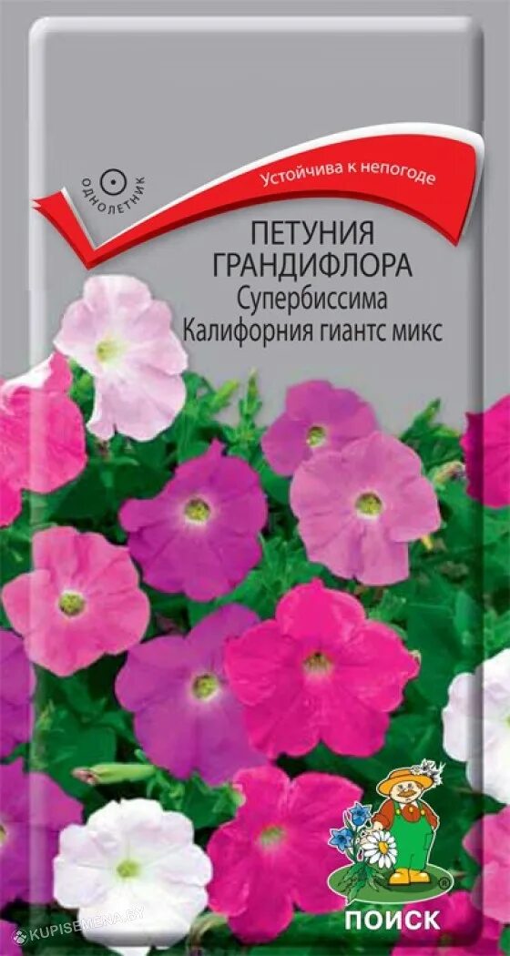 Семена петунии каталог интернет магазин. Петуния conchita. Петуния ампельная опера красная. Петуния соло. Семена петунии каталог интернет магазин.