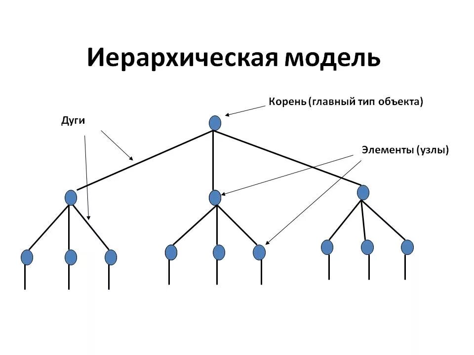 Древовидная модель данных