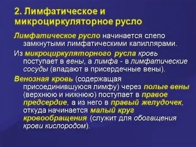 Лимфа 2