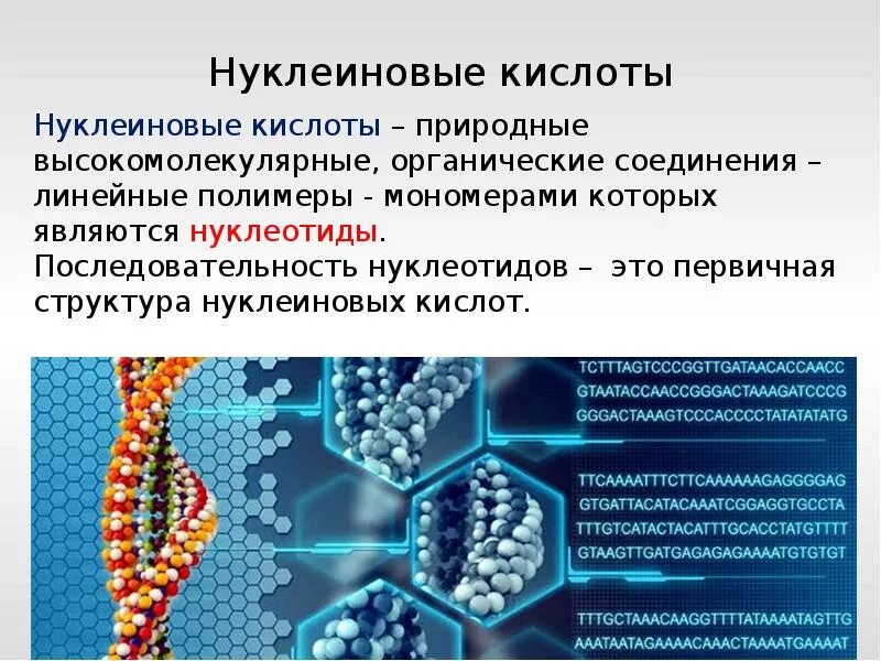 Нуклеиновая кислота тема