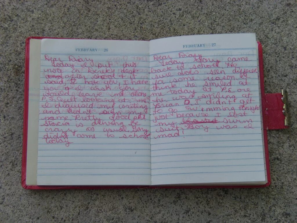 False diary. +reader&#039;s diari летнее задание. my diary. m&#039;s diary. карточка simon&#039;s diary аголискмя язык.