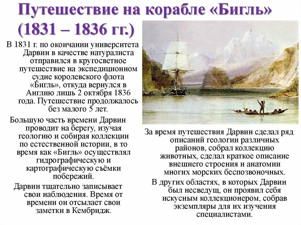 Ч дарвин кругосветное путешествие. Путешествие Дарвина на корабле Бигль. Путешествие Дарвина на корабле Бигль кратко. Путешествие натуралиста на корабле «Бигль» (1831—1836).