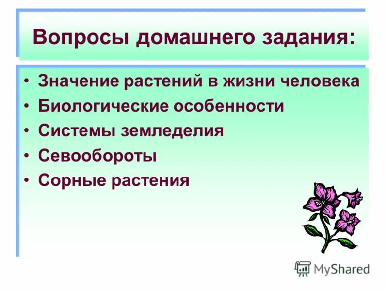 Высшие растения значение