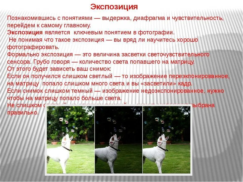 Выдержка информация