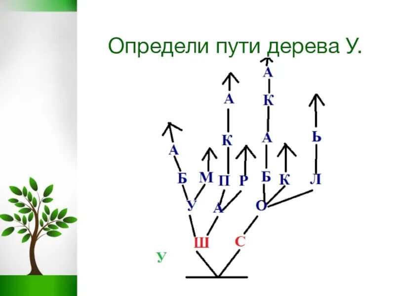 Дерево 5 класс информатика. Пути дерева Информатика 3 класс. Дерево пути. Вершина дерева Информатика. Пути дерева 3 класс.