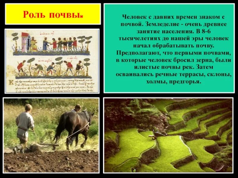 Охрана почвы. Почвы и человек 8 класс. Почва в экономике. Роль почвы для человека. Почвенные ресурсы россии презентация.