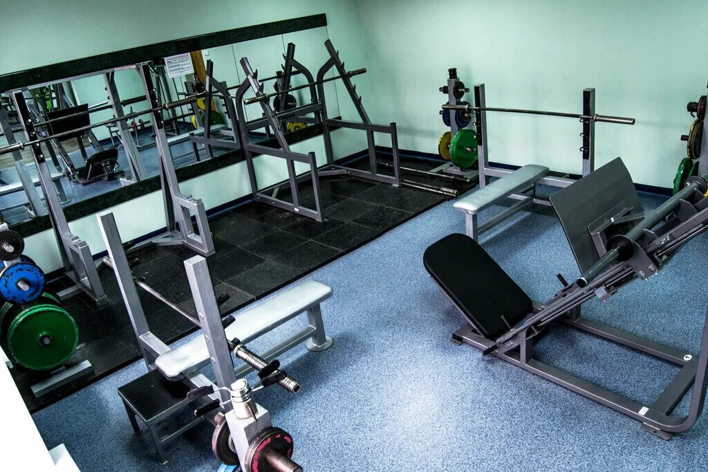 спортивный комплекс дельфин тренажерный зал северск. спортивный зал чебоксары. фитнес клубы чебоксары. ратибор первоуральск тренажерный зал. ратибор чебоксары тренажерный зал.