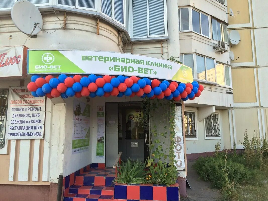 Биовет, ветеринарная клиника, Перервинский бул., 21, корп. 1, Москва - Яндекс Ка