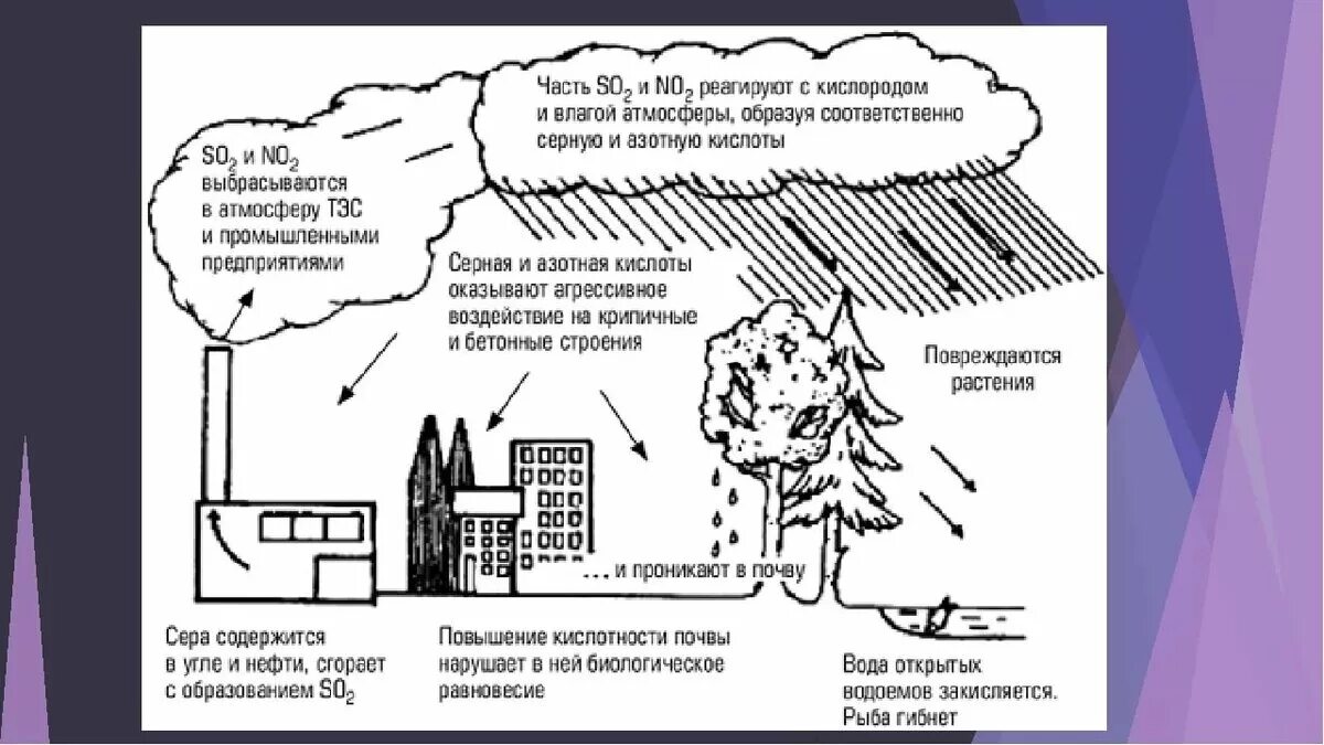 Схема возникновения кислотных дождей. Естественный фактор образования кислотных дождей. Причины возникновения кислотных дождей. Схема механизм образования кислотных осадков. Влияние серы на окружающую среду