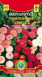 Маргаритки семена