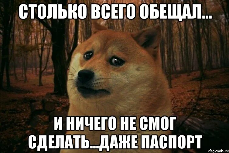 Просто ничего не делаю. Обещаю мем. я ничего не обещал. обещал сделай не можешь не обещай. пообещал сделай.