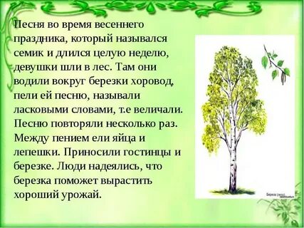 Весенний лес сочинение