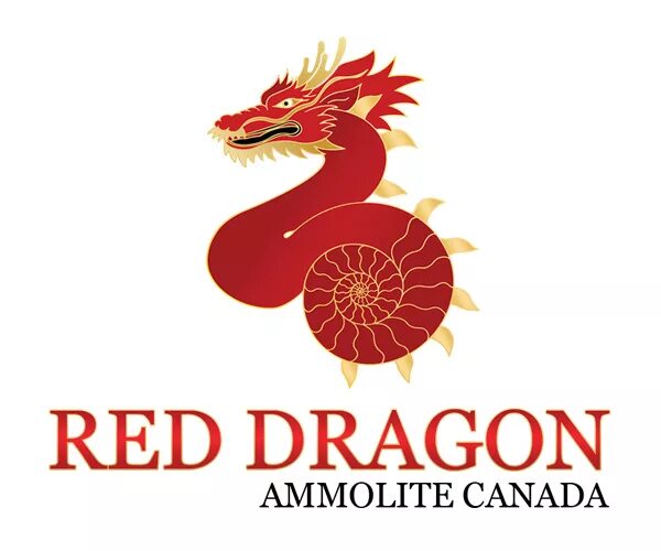 Dragon магазин. дракон самара. красный леопард екатеринбург неформальный магазин. керамический дракон. орден зеленого дракона.