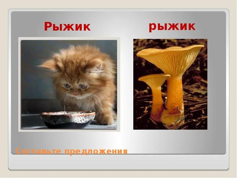 Составить предложение со словом рыжик. Предложение со словом рыжик. рыжик придумать предложение. рыжик рыжик составь предложения. придумать предложение со словом рыжик.