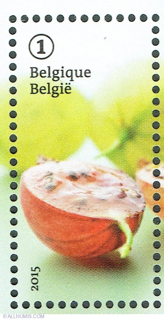 Айва крупноплодная янтарная. Гуава египетская. Ветка айвы. Айва фрукт. Paw fruit.