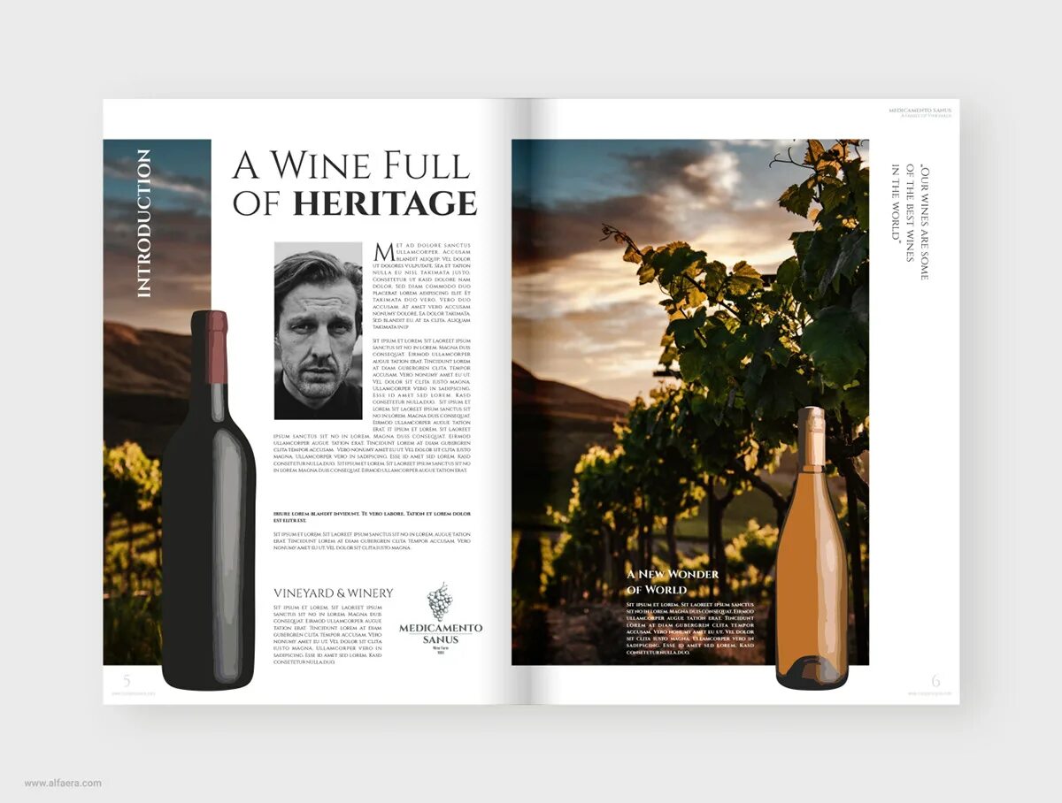 Wine catalog. Wine brochure. Wine brochure. Wine catalogue. Wine catalog design.