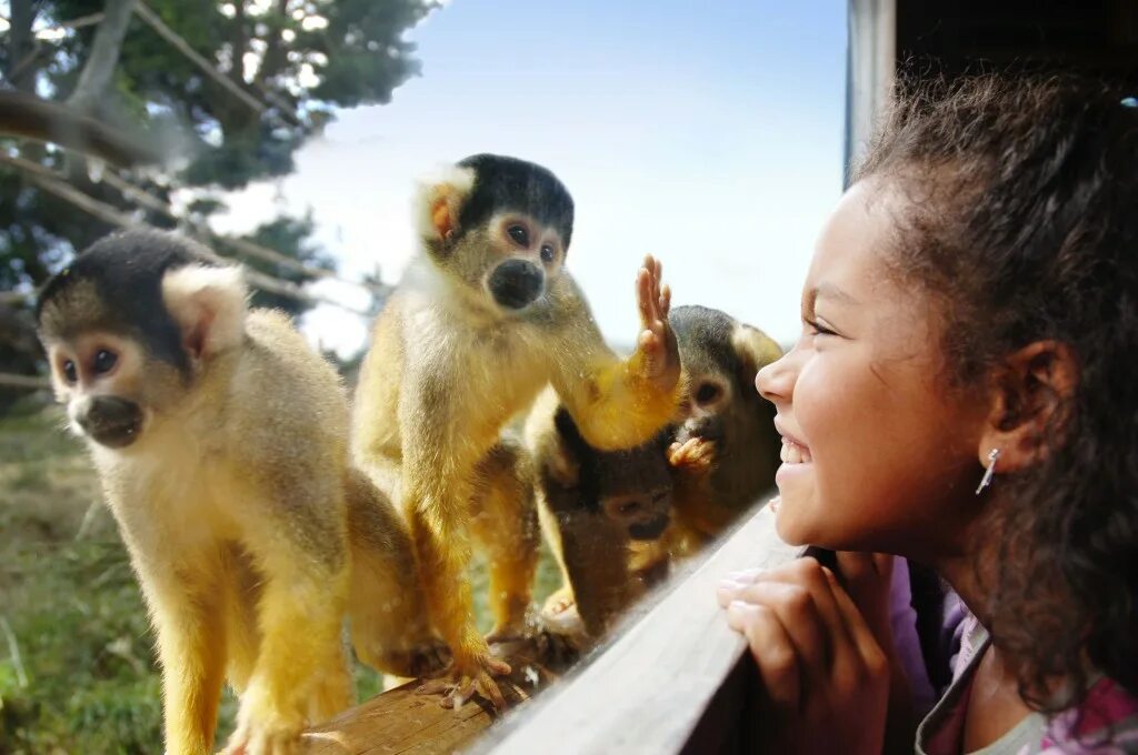 Drusillas Park. Drusillas. Smallest zoo