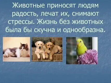 Роль растений в жизни животных и человека - Telegraph