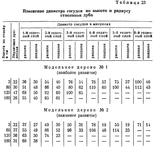 Возраст дерева по диаметру ствола таблица Как определить возраст березы