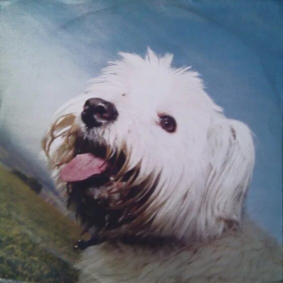 Sing it back. Sing it back. Moloko группа bring it back. Sing it back. Sing it back.