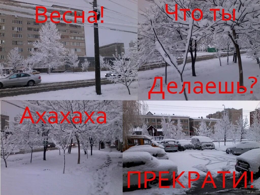 Толя зима. Вот и снег. Толя зима. Опять пришла зима. Зимние статусы.