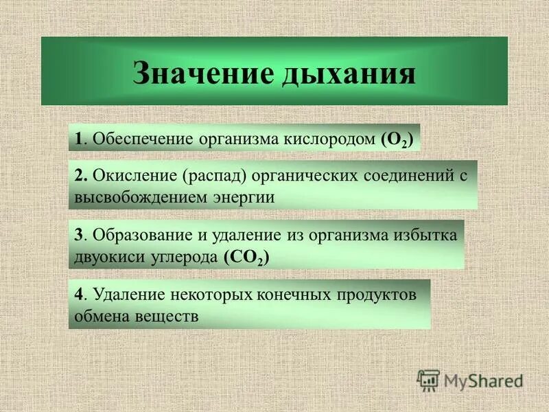 Кислородное обеспечение организма. Прочитайте статью значение дыхания. Биологический смысл дыхания. Значение дыхания кратко. Значение дыхания.