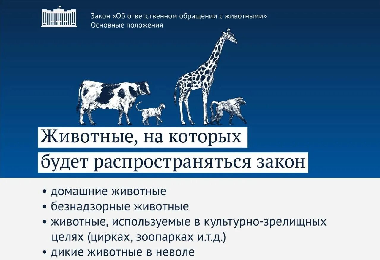 Федеральный закон об ответственном обращении с животным. Закон по защите животных. Закон о защите домашних животных. Ответственное обращение с животными. Ответственное содержание животных