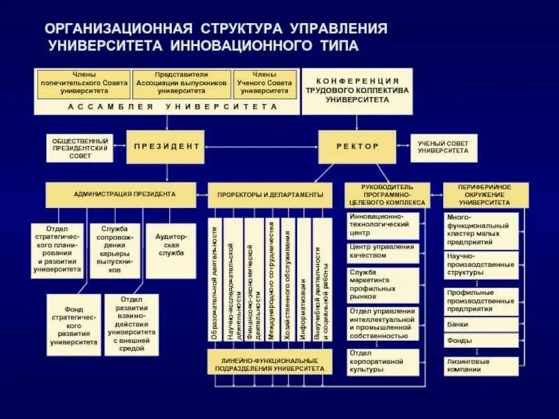 Организацией институтом. Структура управления университета. Организационная структура института схема. Структура управления институтом схема. Структурная схема вуза.