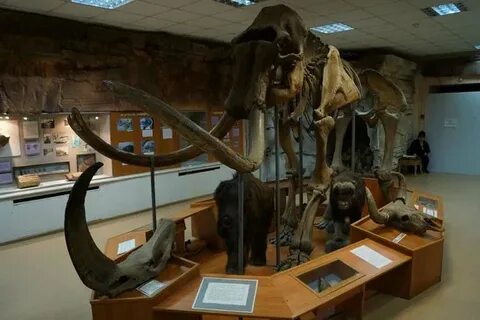 Сколько лет самому старинному музею якутии