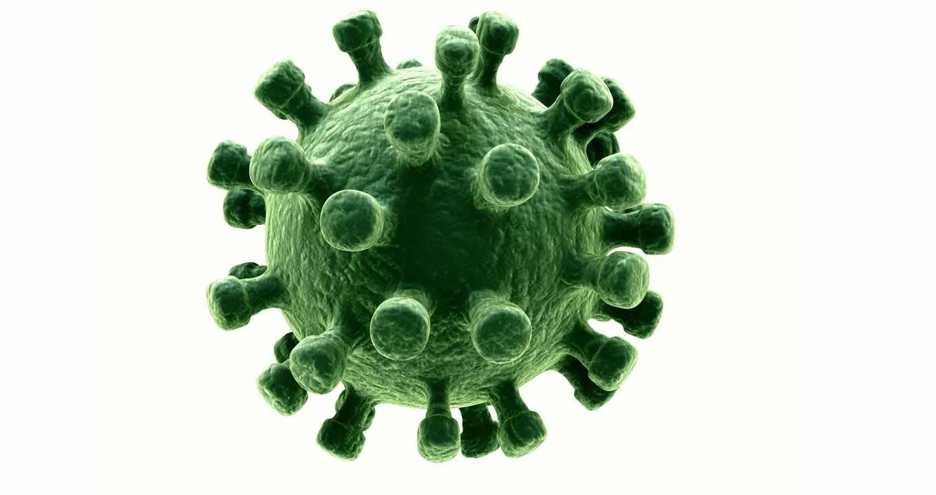 коронавирус искусственный. коронавирус искусственный. структура генома коронавируса. коронавирус искусственный. коронавирус ковид 19 строение.