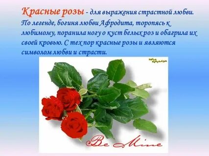 Тест 4 розы