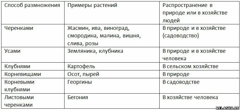 Таблица способы вегетативного размножения растений 6 класс. Способы размножения растений таблица. Способы вегетативного размножения таблица. Вегетативное размножение растений таблица 7 класс. Биология 6 класс параграф 17 вегетативное размножение