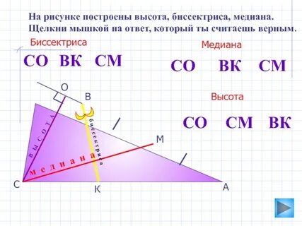 Высота геометрия в геометрии