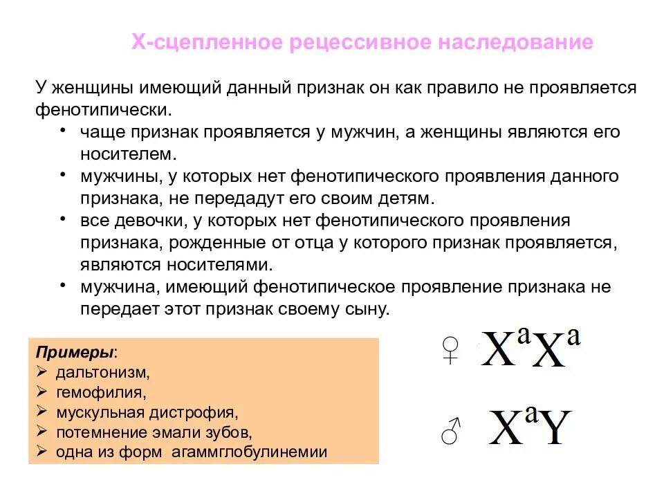 Какой признак называется рецессивным. Для x сцепленного рецессивного типа наследования характерно. x-сцепленные рецессивные признаки:. х-сцепленное рецессивное наследование. х-сцепленный рецессивный признак.
