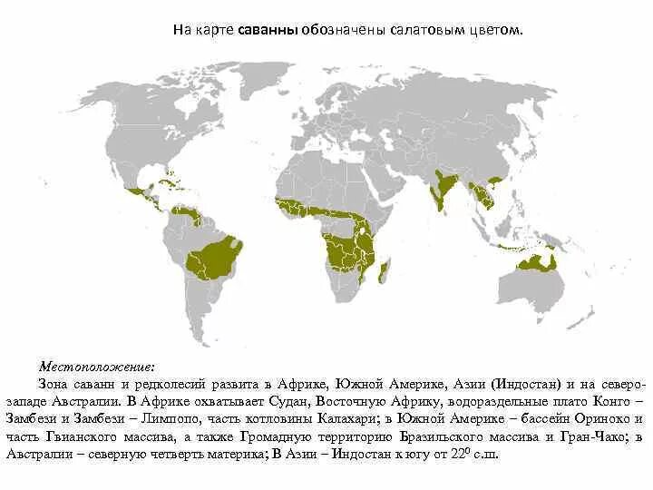 Саванны и редколесья Евразии на карте. Где находится Саванна на карте.