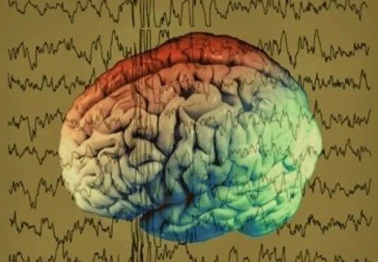 Активность мозга. Биоэлектрическая активность мозга. Визуализация биоэлектрической активности мозга. Геологическая активность мозга.