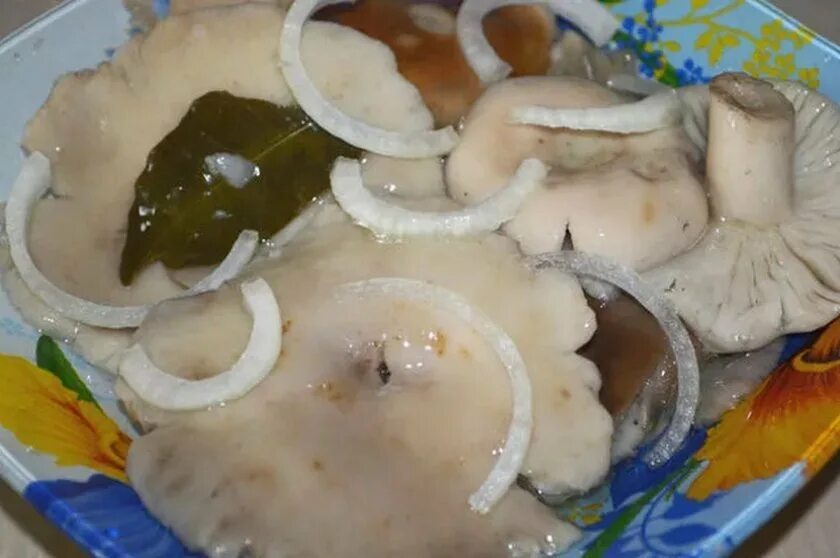 Маринуют ли сыроежки на зиму. Маринованные сыроежки. сыроежки соленые. сыроежки маринованные на зиму. сыроежки грибы приготовление засолка.