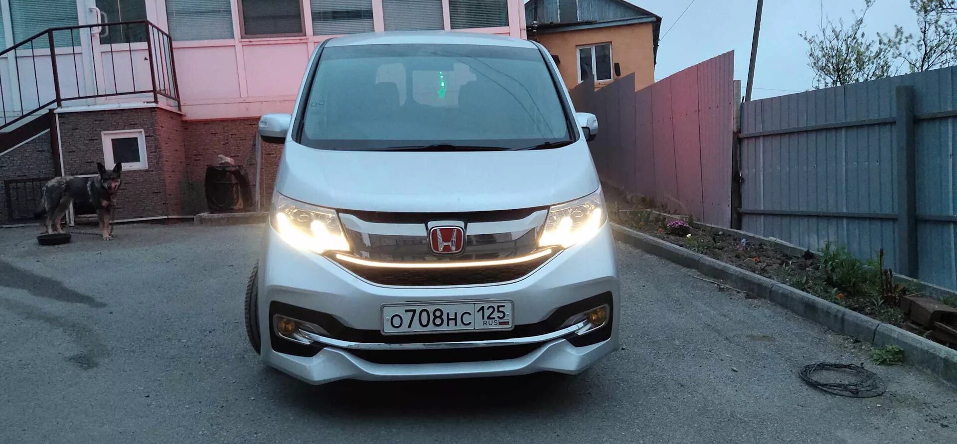 Птф honda freed 2015. Лампочка хонда. Фары хонда фрид 2011. Лампы honda freed. 33302s7a003.