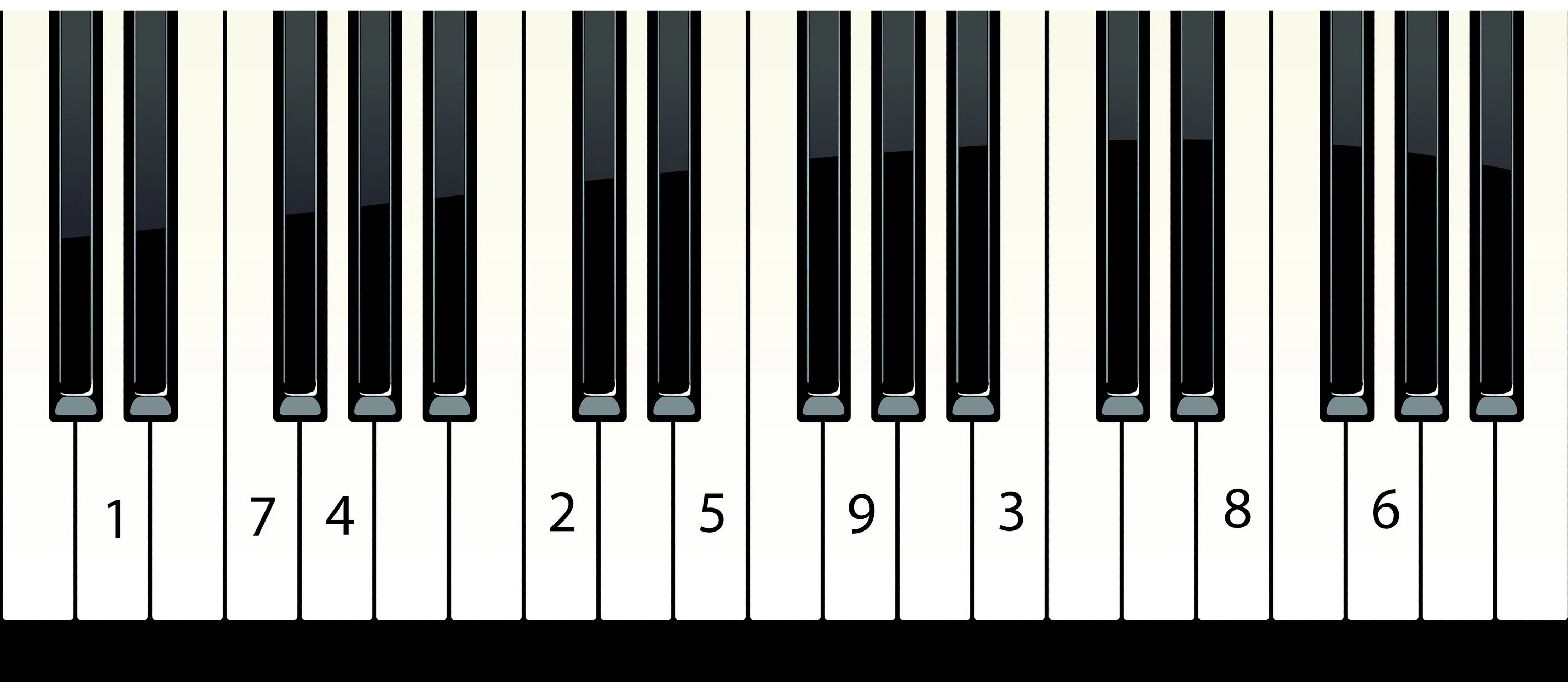 Фортепианная клавиатура. Клавиши пианино. Клавиатура пианино. Клавиатура рояля. Фортепиано белые клавиши